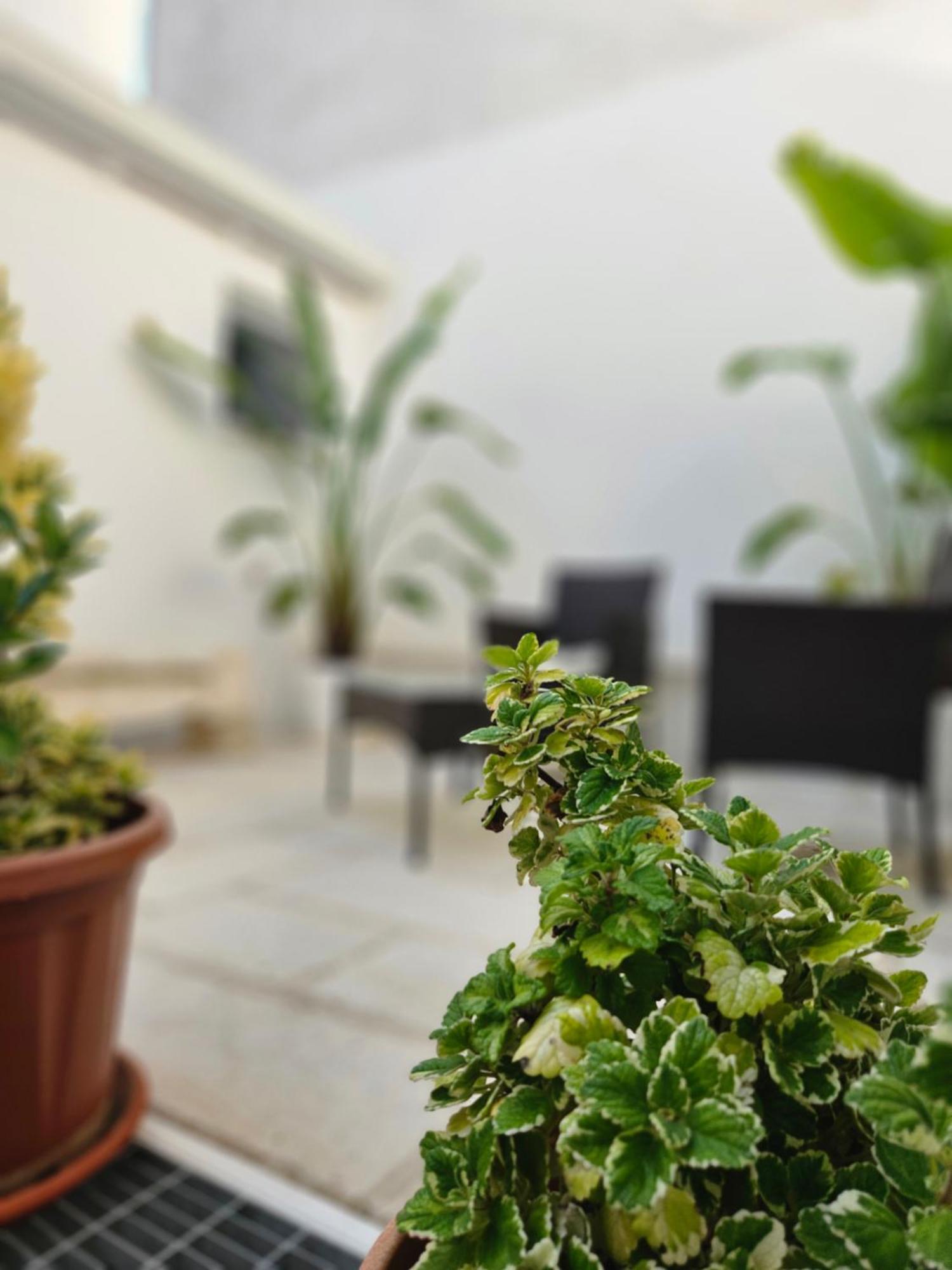 גלטונה B&B La Campana Salentina מראה חיצוני תמונה